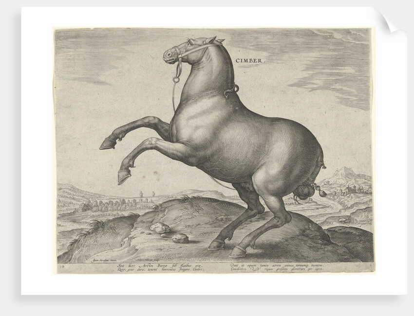 Horse from Scythia by Philips Galle