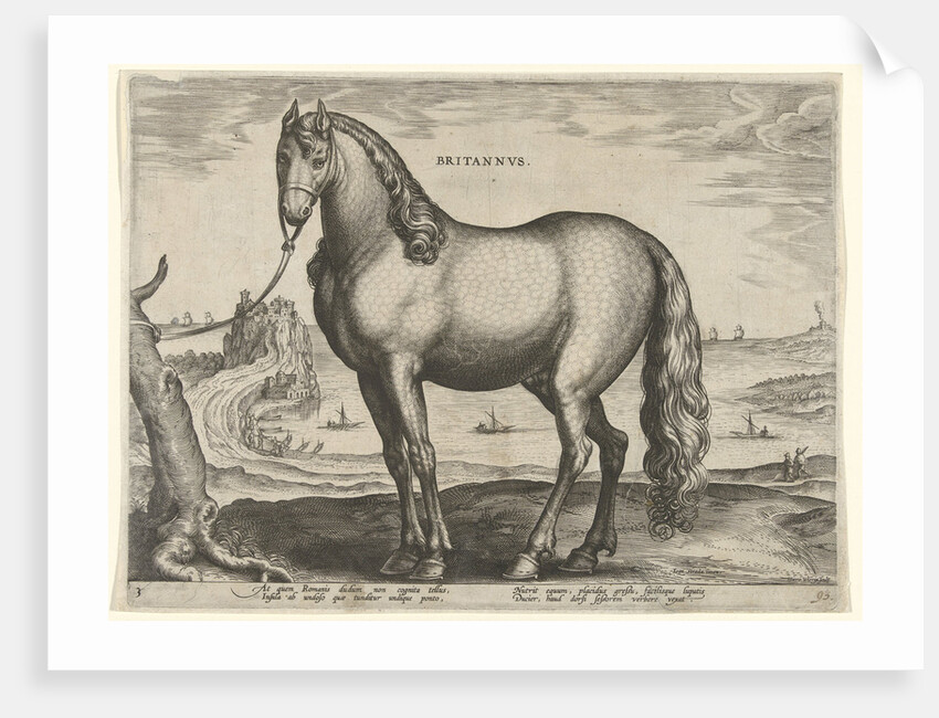Horse from Brittany, Brittanus by Philips Galle