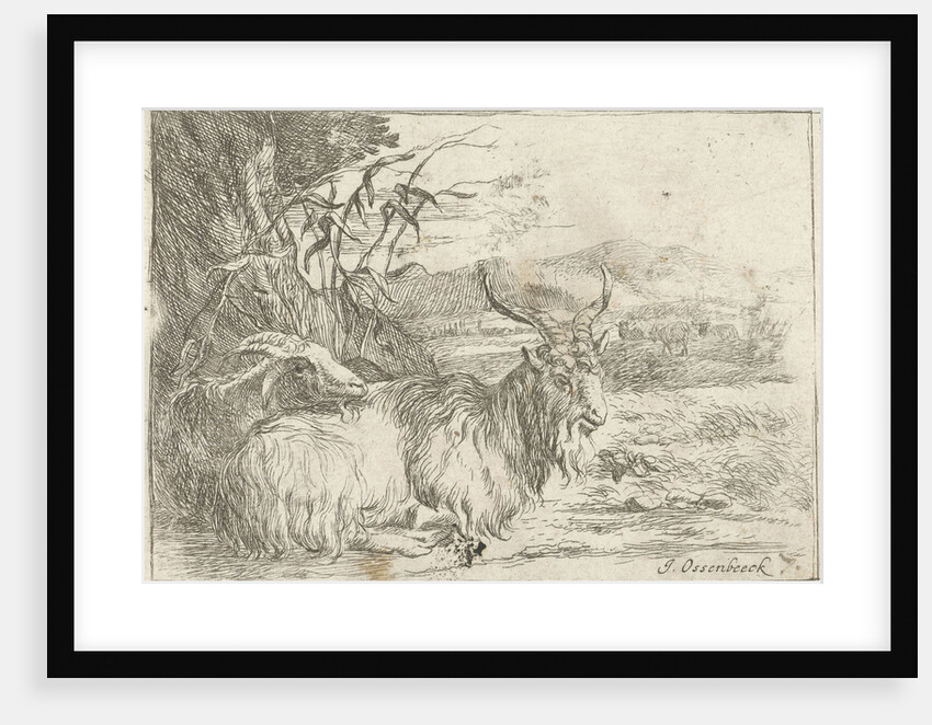 Goat under a tree by Nicolaes Pietersz. Berchem