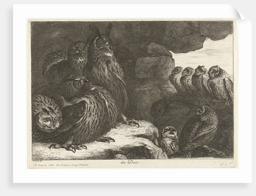 Owls in a cave by King of France