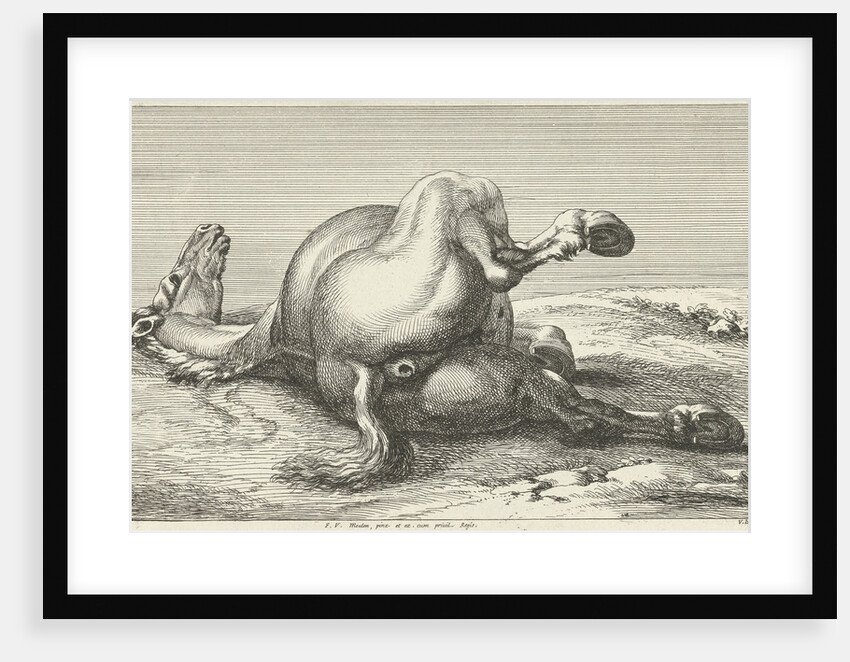 Killed horse by Anonymous