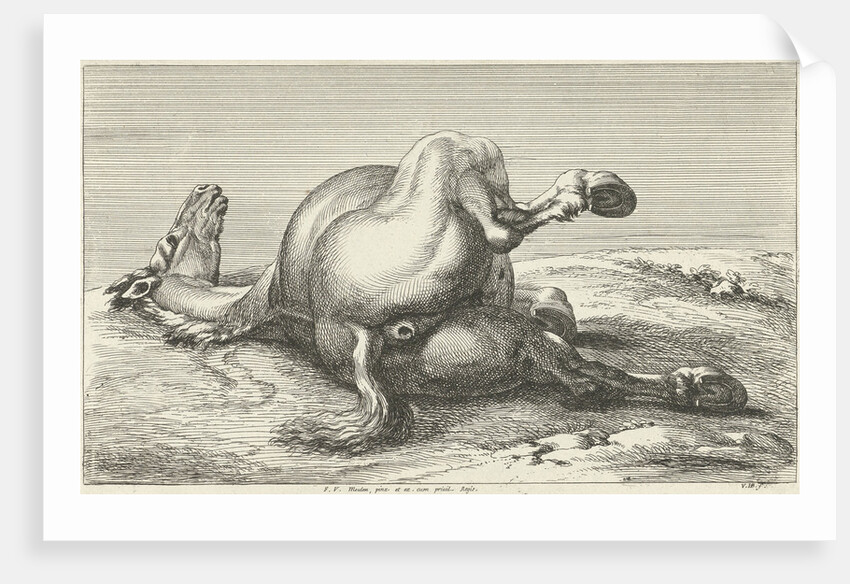 Killed horse by Anonymous