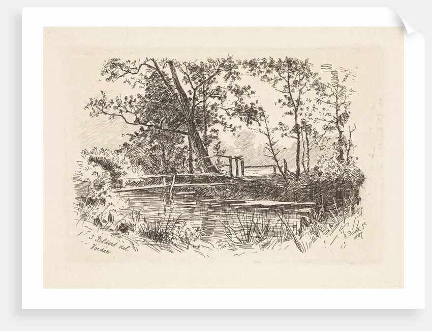 Landscape by Elias Stark