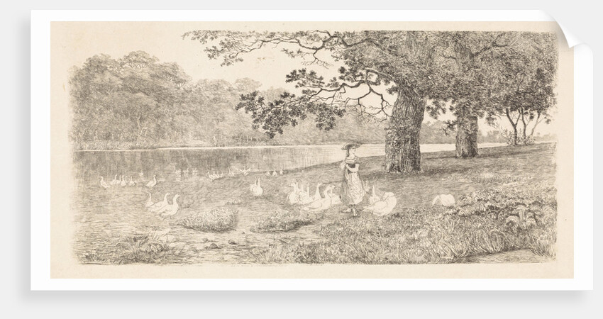 Geese in the water by Elias Stark