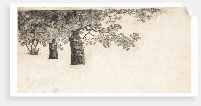 Geese in the water by Elias Stark