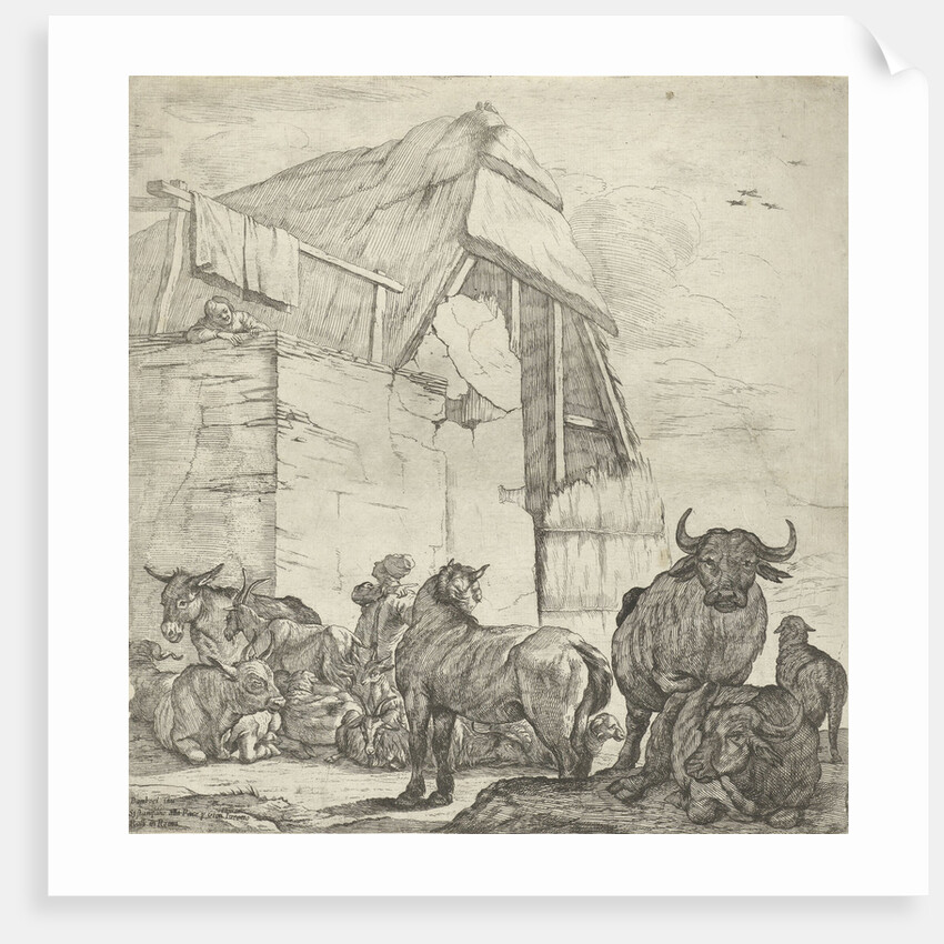 Resting cattle on a farm by Giovanni Giacomo Rossi