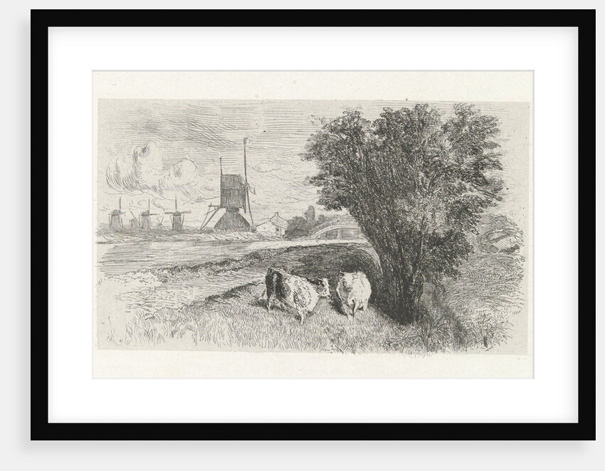 Cows at a road by Charles Rochussen