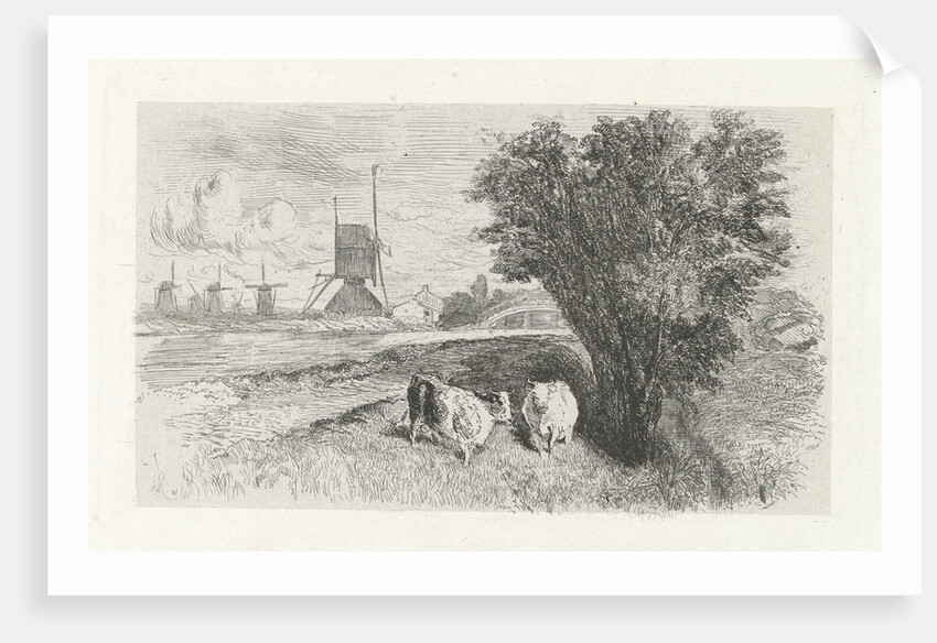 Cows at a road by Charles Rochussen