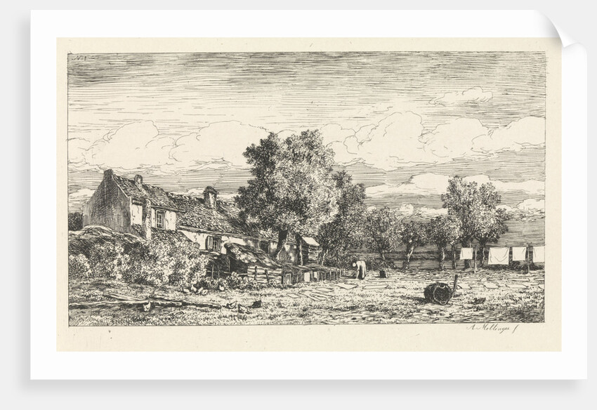 Bleekveld, bleach field by Alexander Mollinger