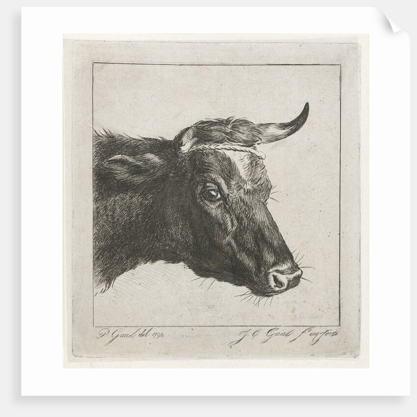 Head of a cow with rope around the horns by Jacobus Cornelis Gaal