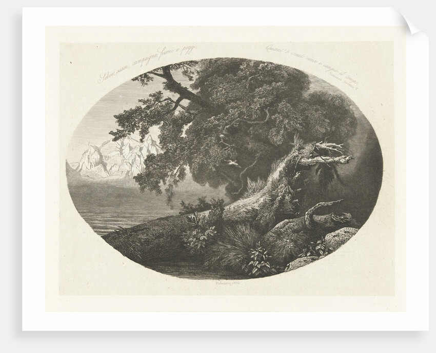 Uprooted tree trunk on the coast by Pierre Louis Dubourcq