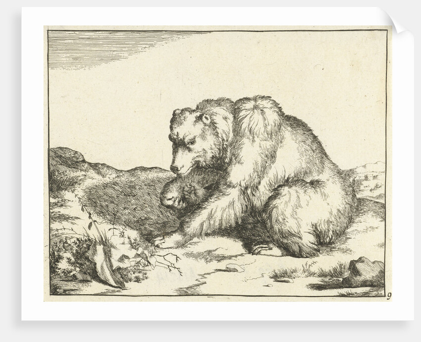 Sitting Bear, and profil by Marcus Gerards I