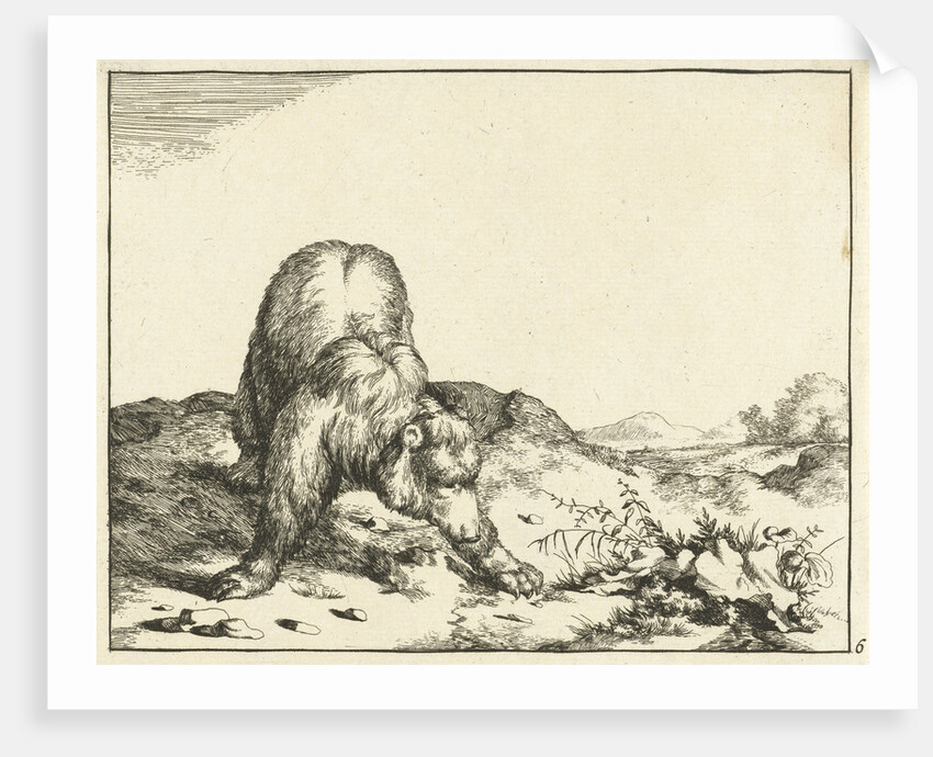 Standing Bear, from the front, the front legs wide apart by Anonymous