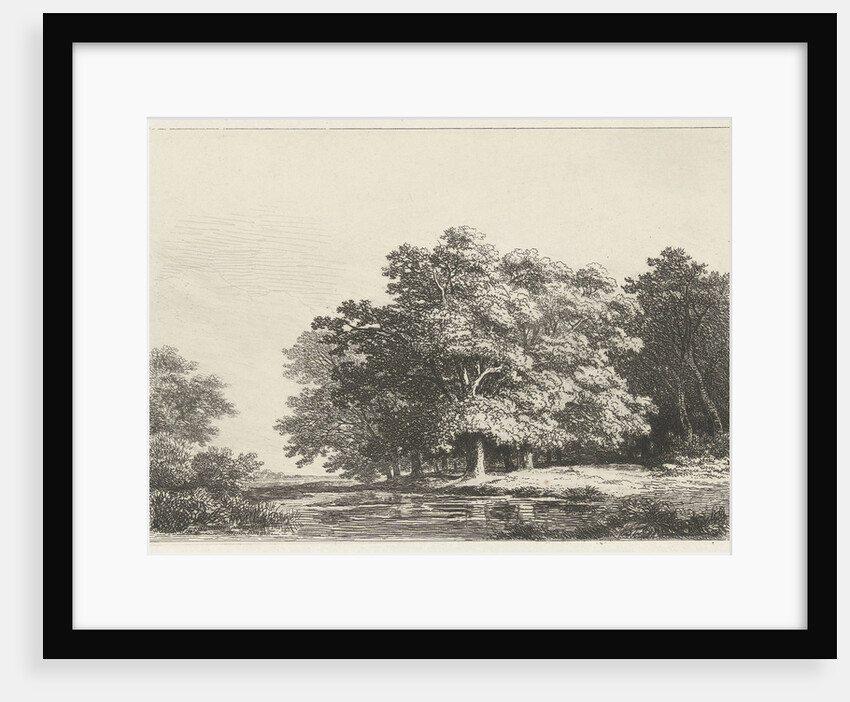 Trees on the water by Remigius Adrianus Haanen