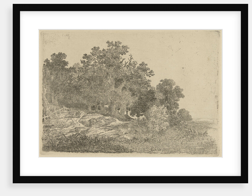 Forest view by Remigius Adrianus Haanen