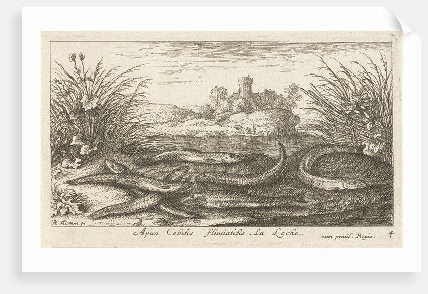 Loaches on a river bank by Albert Flamen