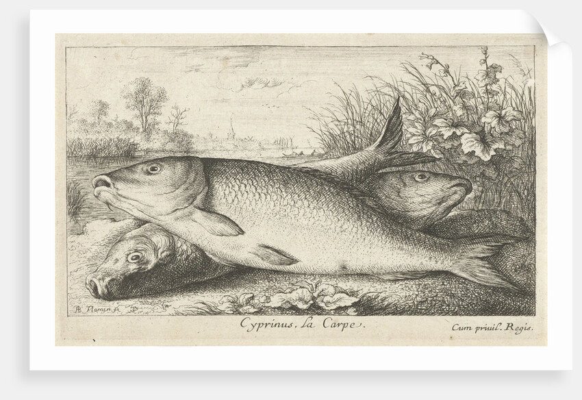 Three carp on a riverbank by Louis XIV King of France