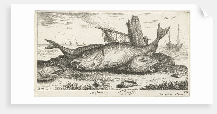 Three haddock on the beach by Lodewijk XIV