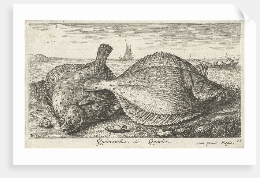 Two plaice on the beach by Louis Bernard Coclers