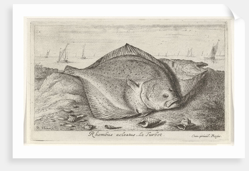 Two turbot on the beach by Lodewijk XIV