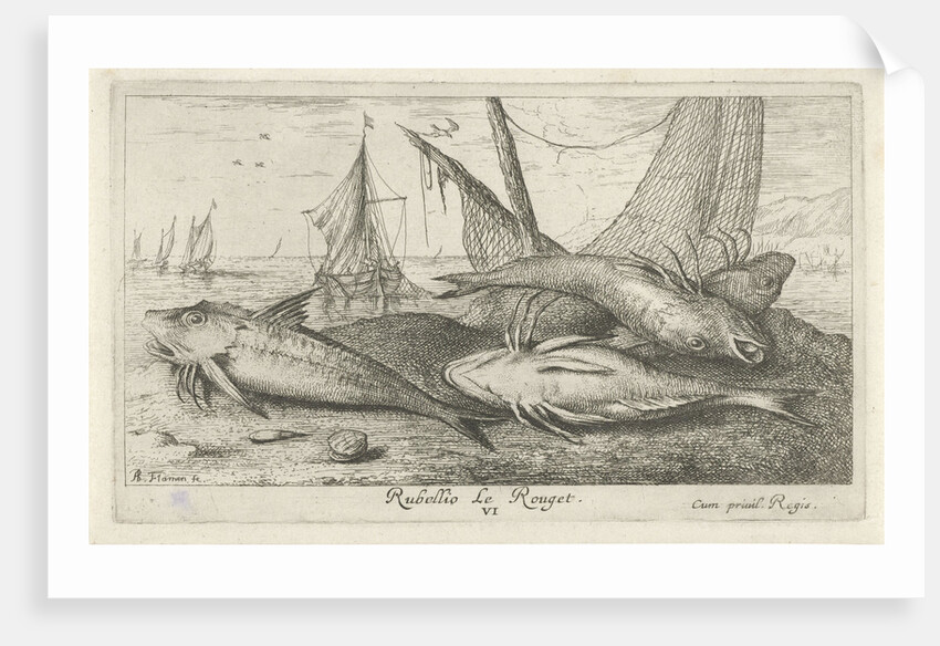 Fish on the beach by Albert Flamen