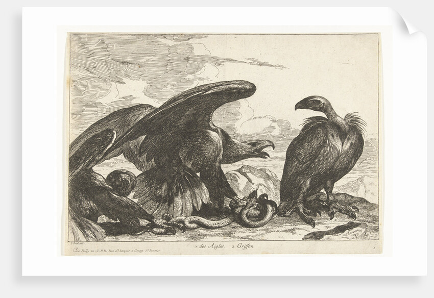 Vulture and an eagle with snake by De Poilly