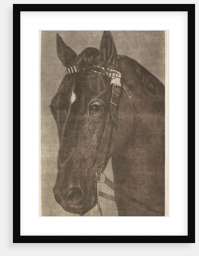 Head of a horse with a bridle by Guy Head