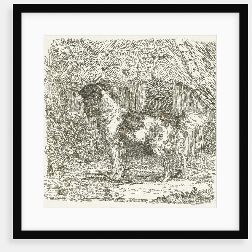 A dog by Jan Dasveldt