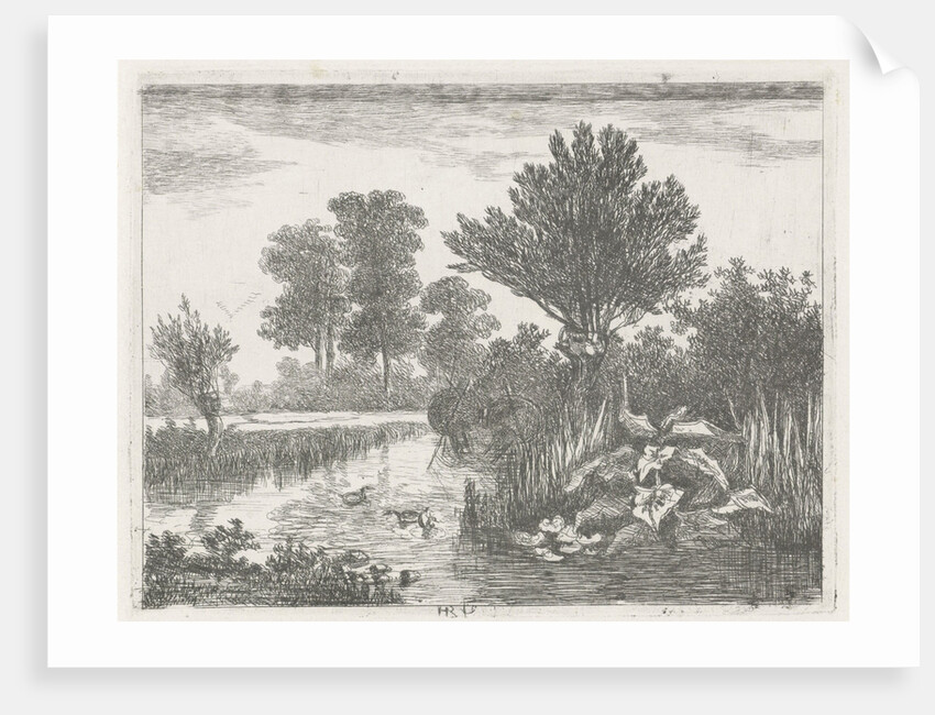 Ducks in a ditch by Hermanus Jan Hendrik van Rijkelijkhuysen