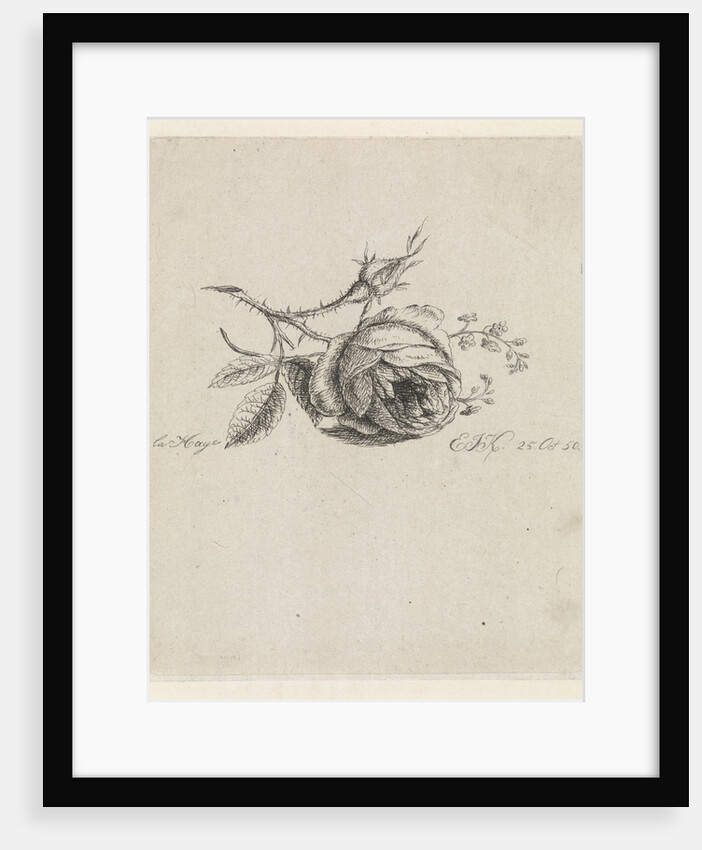 A rose and forget-me-nots by Elisabeth Johanna Koning