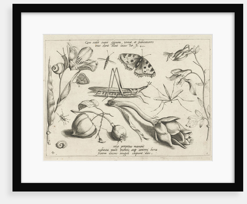 Animals and plants around a grasshopper and a artishock by Joris Hoefnagel