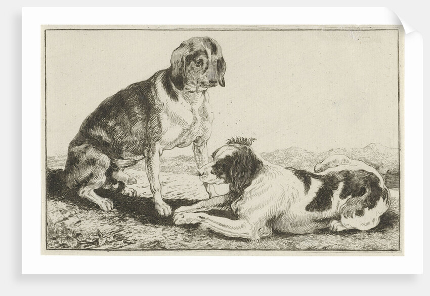 Two resting dogs by Jan van den Hecke I