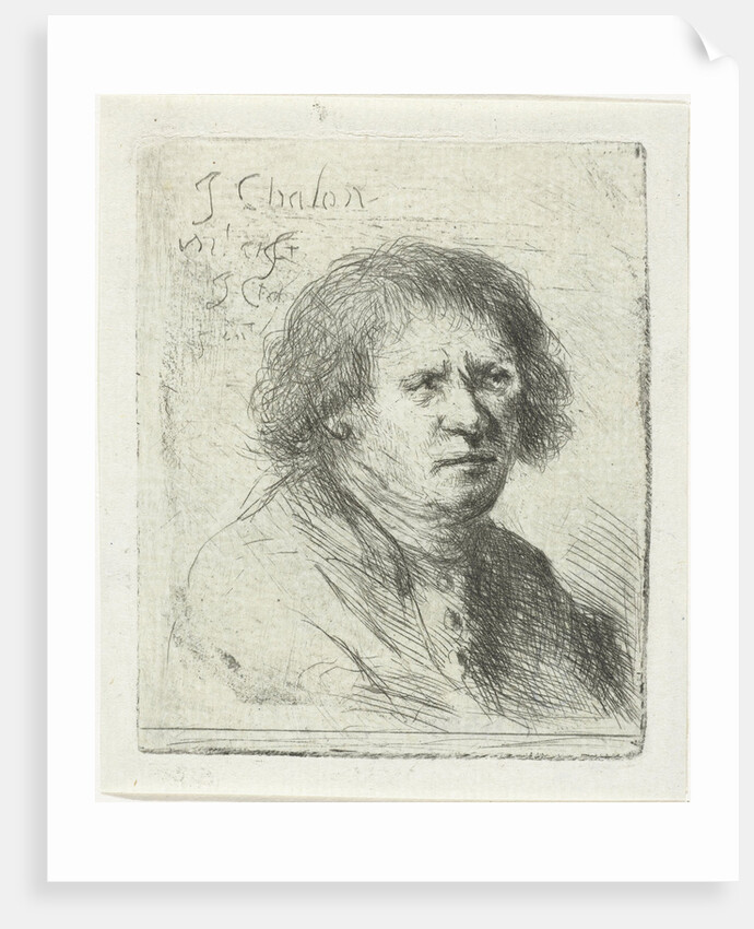 Adult male by Jan Chalon