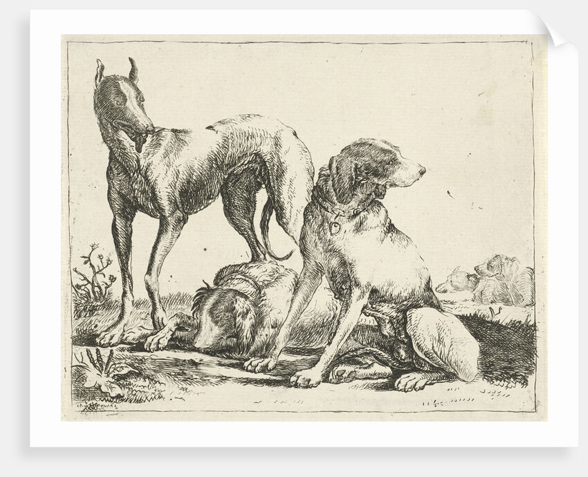 Three dogs by Pauwels van Hillegaert