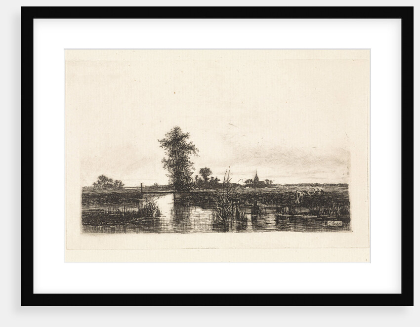 Polder by Elias Stark