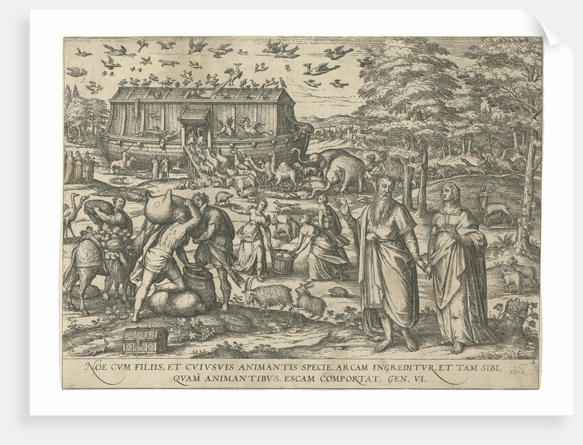 Noah's Ark by Symon Novelanus