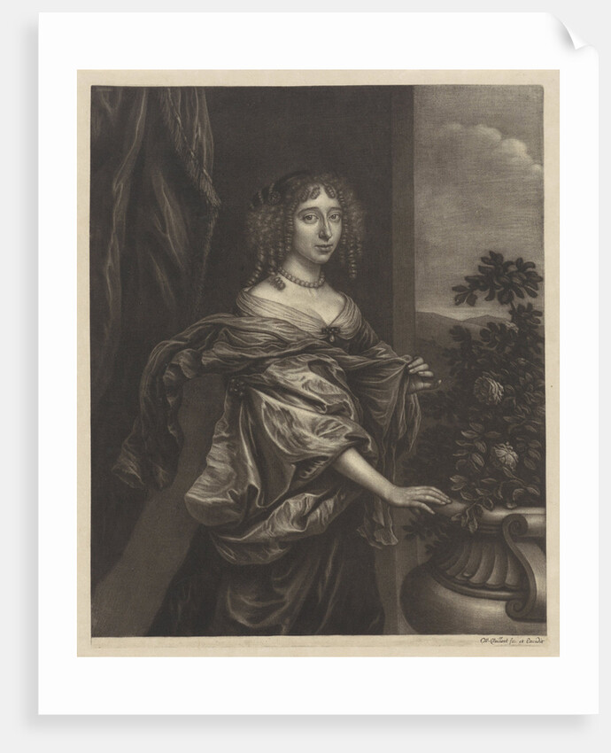 Portrait of a woman with a rose bush by Wallerant Vaillant