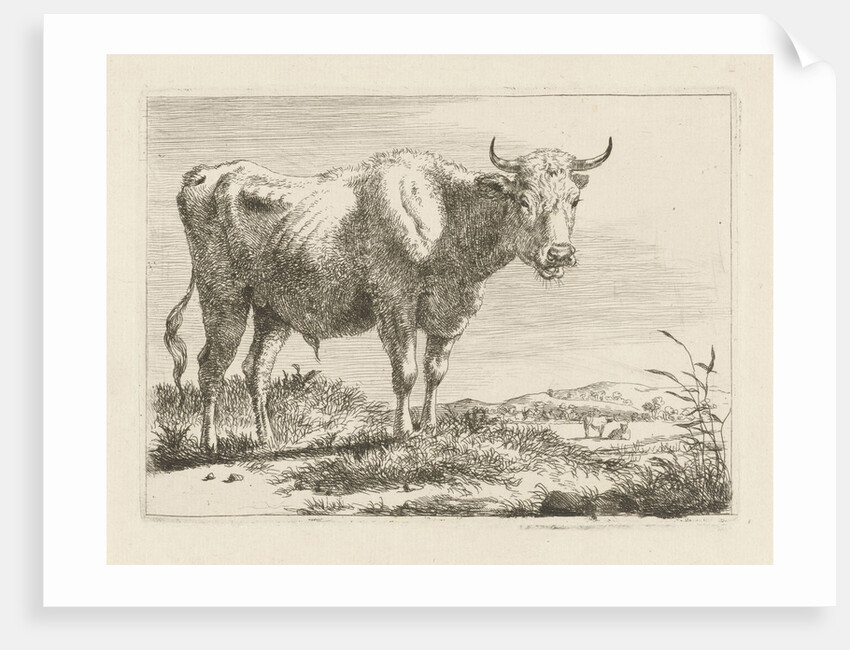 Standing bull by Pieter Gerardus van Os
