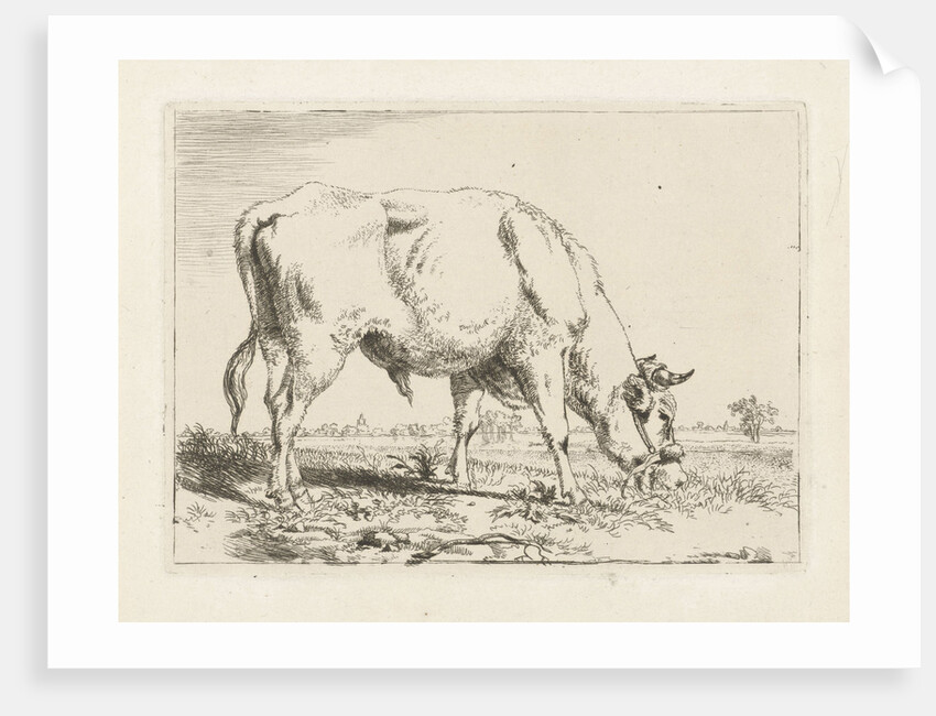 Grazing bull by Pieter Gerardus van Os