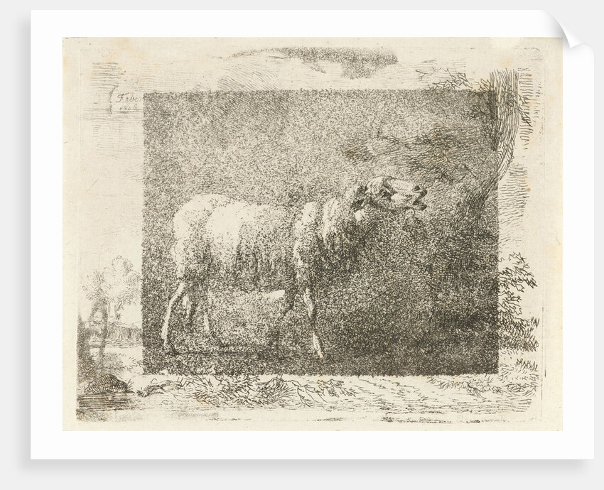 Single sheep by Frédéric Théodore Faber