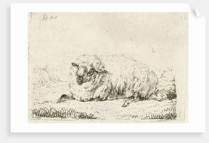 Lying sheep with thick fur by Frédéric Théodore Faber