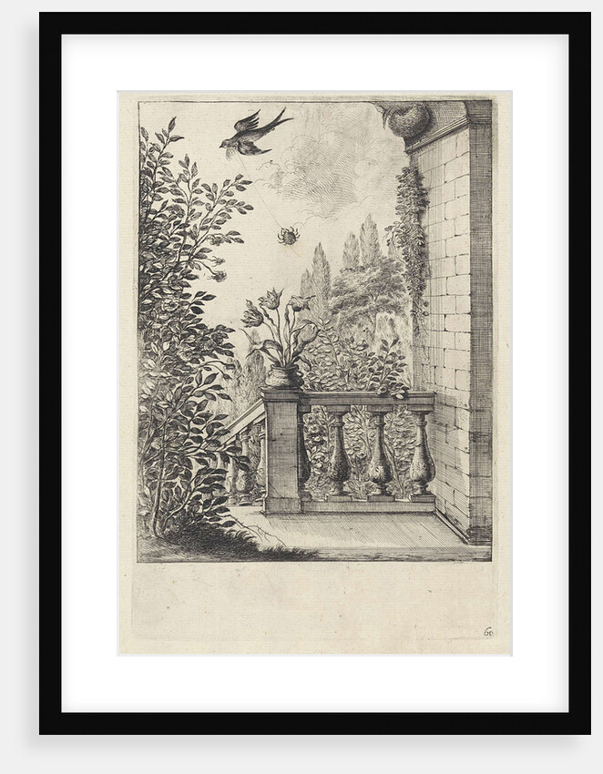 Fable of the spider and the swallow by John Ogilby