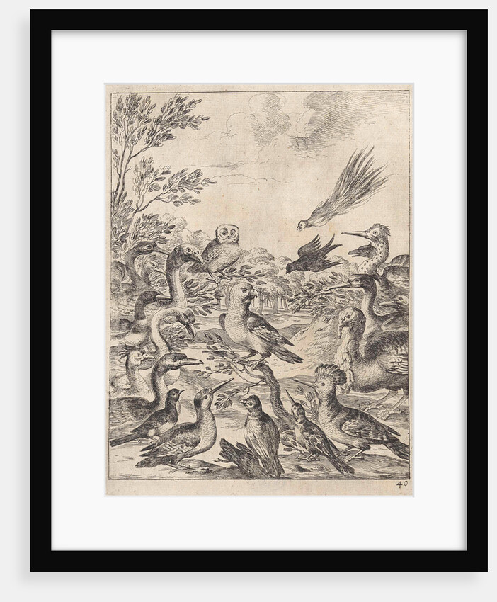 Parliament of birds by John Ogilby