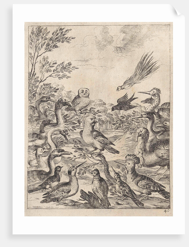 Parliament of birds by John Ogilby