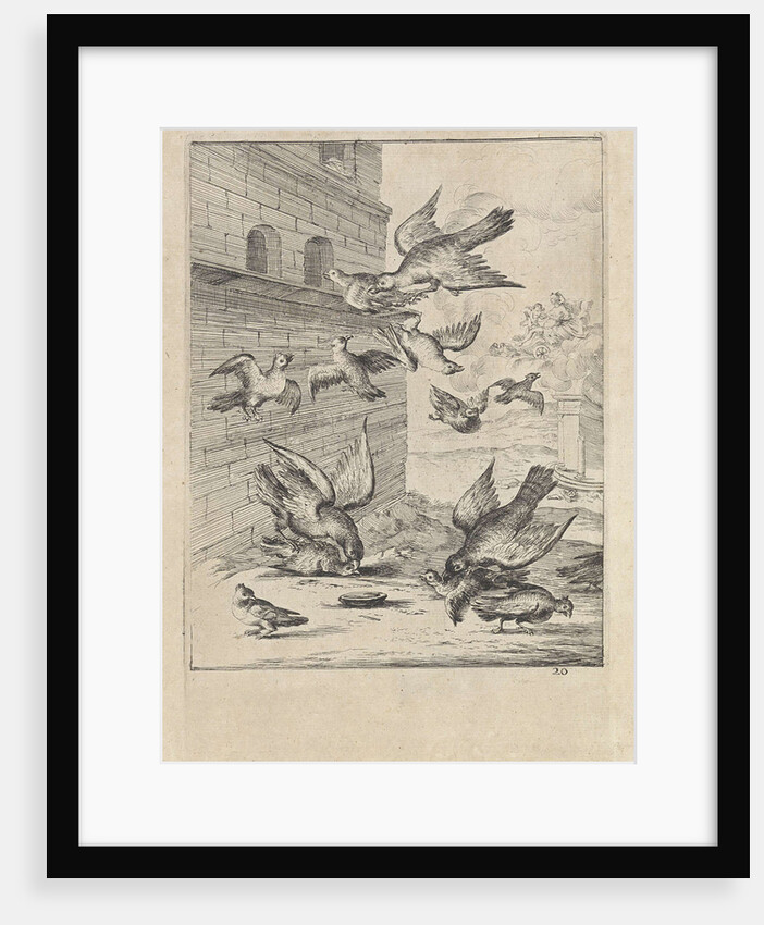 Fable of the doves and the hawks by John Ogilby