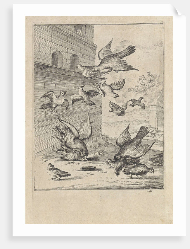 Fable of the doves and the hawks by John Ogilby