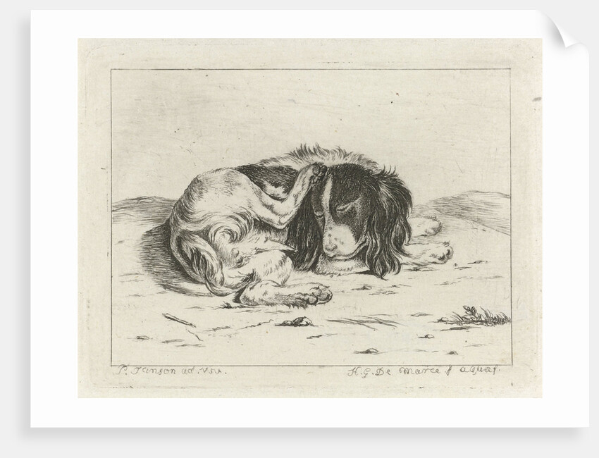 Sleeping dog by Hendrik Godart de Marée