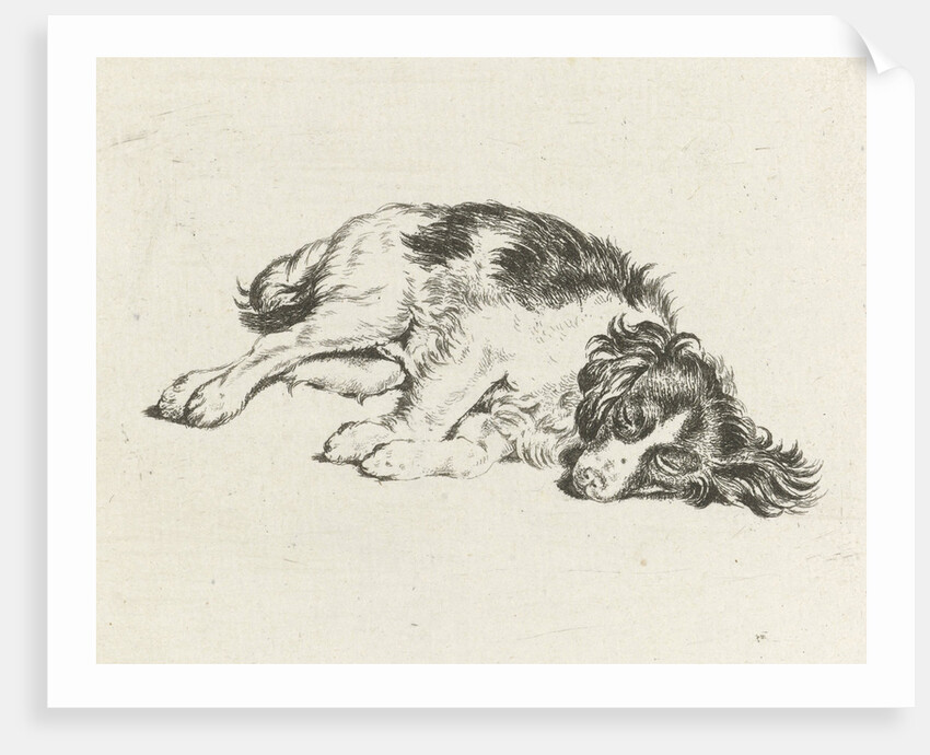 Sleeping dog by Hendrik Godart de Marée