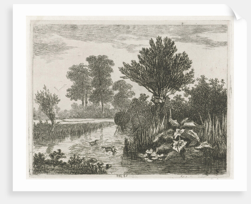 Ducks in a ditch by Hermanus Jan Hendrik van Rijkelijkhuysen