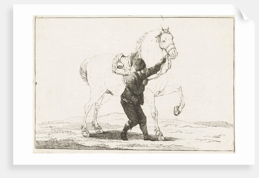 A boy holds a horse on the bridle by Joannes Bemme